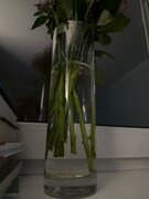 Фото из отзыва пользователя