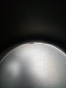 Фото из отзыва пользователя