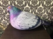 Фото из отзыва пользователя