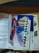 Фото из отзыва пользователя