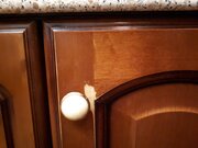 Фото из отзыва пользователя