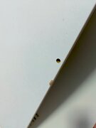 Фото из отзыва пользователя