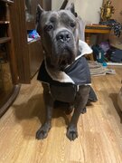 Фото из отзыва пользователя