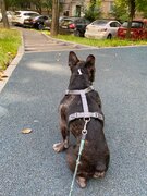 Фото из отзыва пользователя