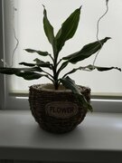 Фото из отзыва пользователя