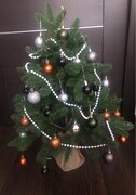 Фото из отзыва пользователя