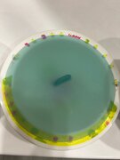 Фото из отзыва пользователя