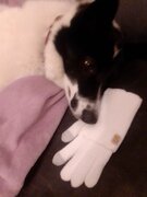 Фото из отзыва пользователя