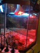 Фото из отзыва пользователя