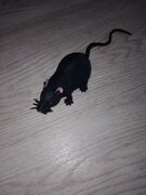 Фото из отзыва пользователя