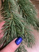 Фото из отзыва пользователя