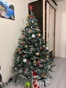 Фото из отзыва пользователя