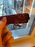 Фото из отзыва пользователя