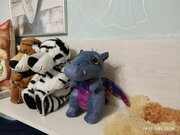 Фото из отзыва пользователя