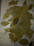 Фото из отзыва пользователя