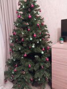 Фото из отзыва пользователя