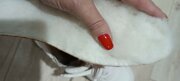 Фото из отзыва пользователя