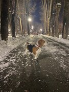 Фото из отзыва пользователя