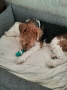 Фото из отзыва пользователя