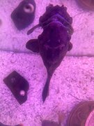 Фото из отзыва пользователя