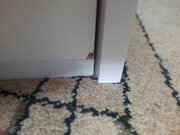 Фото из отзыва пользователя