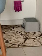 Фото из отзыва пользователя