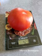 Фото из отзыва пользователя