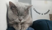 Фото из отзыва пользователя