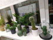 Фото из отзыва пользователя