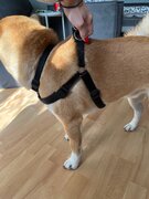 Фото из отзыва пользователя