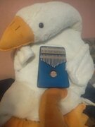 Фото из отзыва пользователя