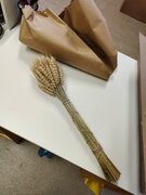 Фото из отзыва пользователя