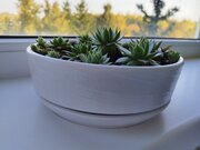 Фото из отзыва пользователя