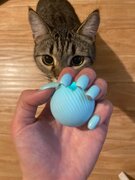 Фото из отзыва пользователя