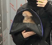 Фото из отзыва пользователя