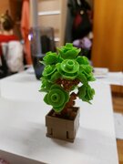 Фото из отзыва пользователя