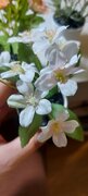 Фото из отзыва пользователя