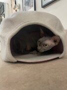 Фото из отзыва пользователя