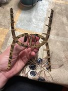 Фото из отзыва пользователя