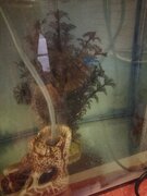 Фото из отзыва пользователя