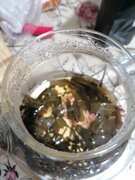 Фото из отзыва пользователя