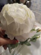 Фото из отзыва пользователя