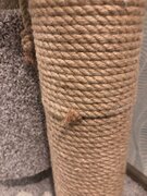 Фото из отзыва пользователя