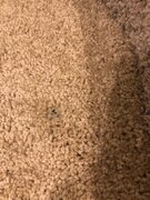 Фото из отзыва пользователя