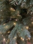 Фото из отзыва пользователя