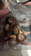 Фото из отзыва пользователя
