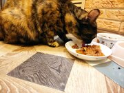 Фото из отзыва пользователя