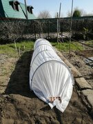 Фото из отзыва пользователя