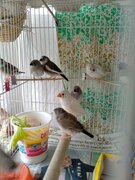Фото из отзыва пользователя