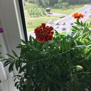 Фото из отзыва пользователя